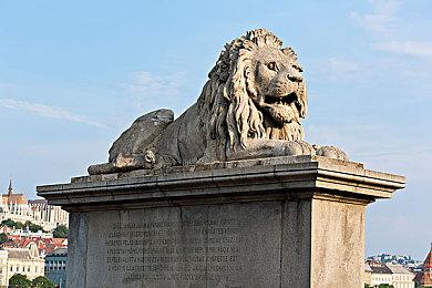 数据挖掘显示《集合啦！动物森友会》将开咖啡店